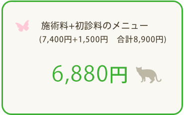 about444_03_2