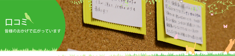 voice_01_main